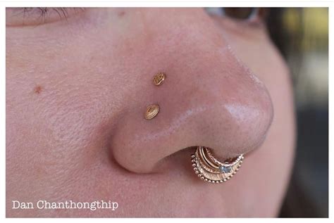 stacked septum|More.